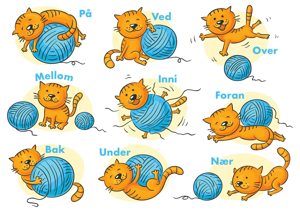 De vanligste stedspreposisjonene illustrert av en katt og et garnøste i forskjellige posisjoner