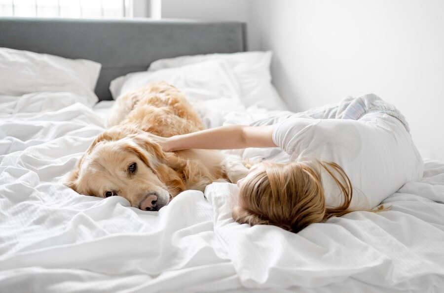 Hvordan få hunden din til å slutte å sove i sengen din