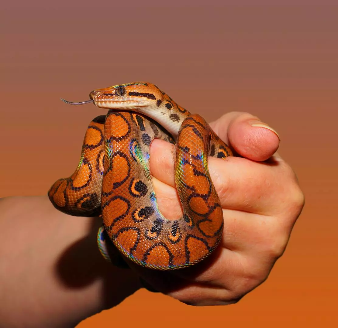 Mystisk Slang: Møt de Mest Gåtefulle Skapningene i Reptilverdenen